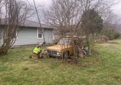 Yard clean up for elderly lady